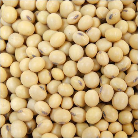 Soybean-seeds-img