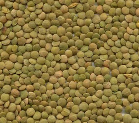 Green- Lentils-img