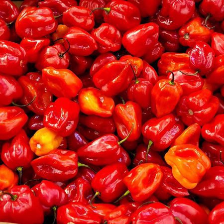 Cameroon Red Pepper for sale