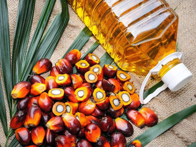 Palm Oil for sale