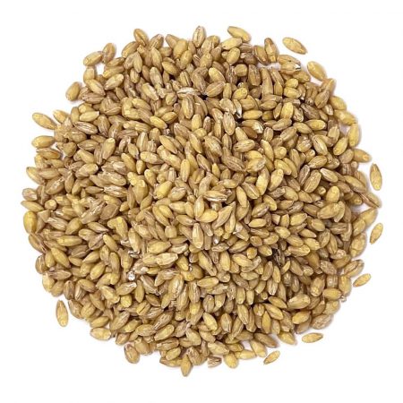 organic-hulled-barley-main-img