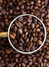 Robusta Coffee for sale